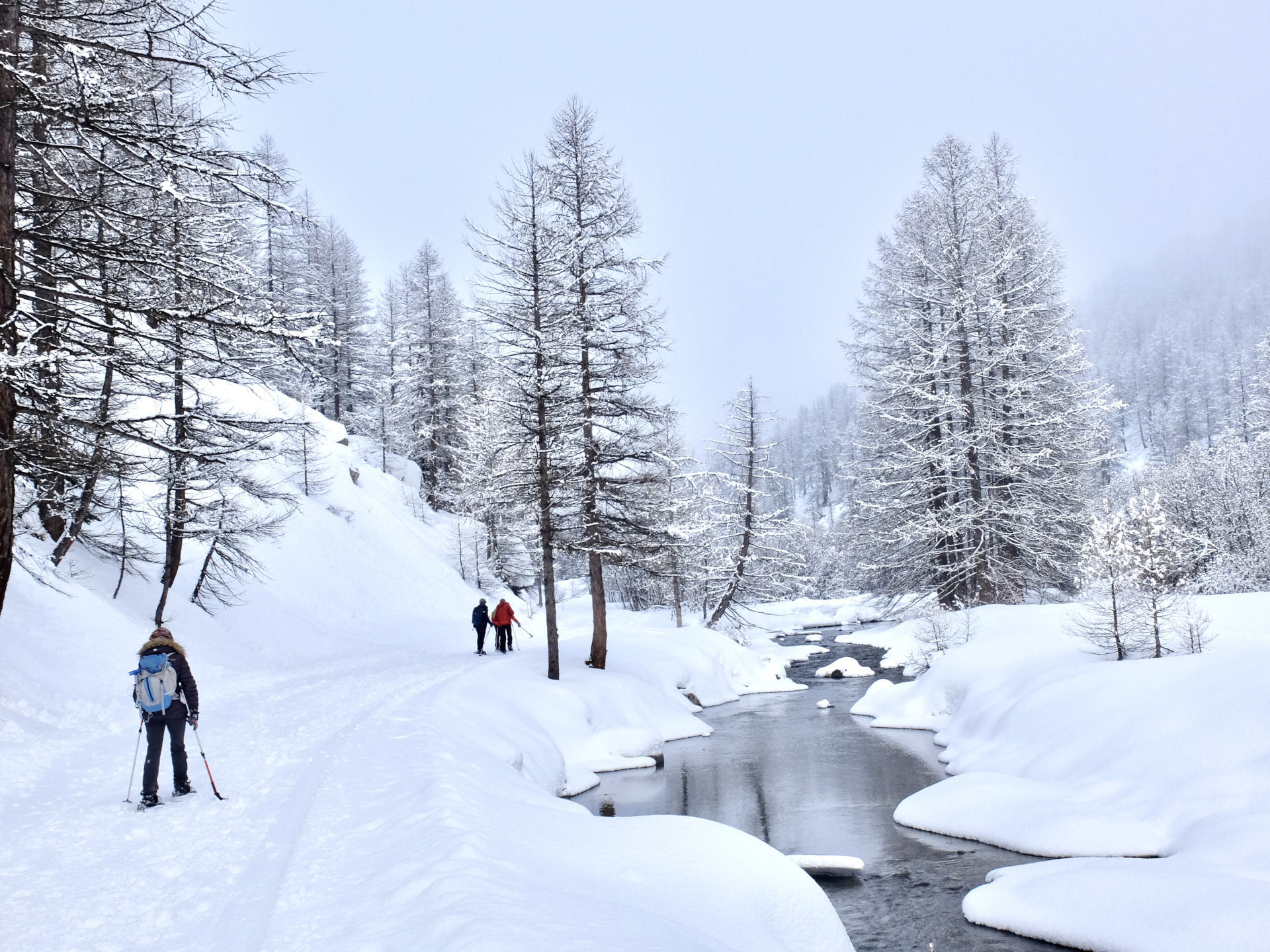 Névache, la vallée blanche à raquette en hôtel** -693390e32838f: 

type: diap

0: /